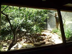 Wildlife hide at the Wildlife Exhibits in Blackbutt Reserve