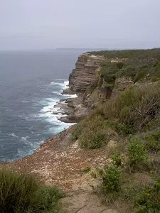 Bouddi Coast from Bombi Moors