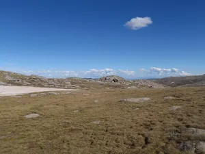 Mt Townsend plateau