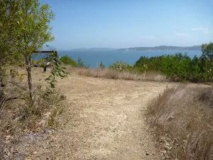 Green Point Drive Circuit