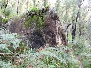 Track past lone rock