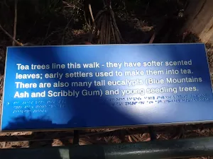 Interp signs in English and Braille