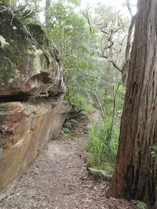 Toomey walk passing a rock wall