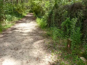 GNW arrow post pointing along the trail