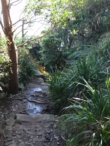Manly Scenic Walkway