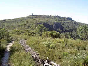 Track up Flat Top