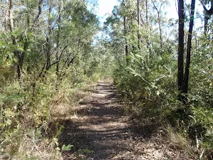 St Helena ridge track