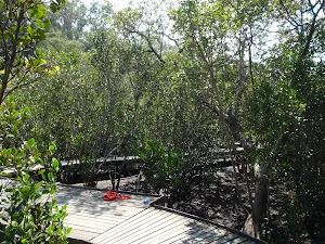 Boardwalk
