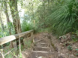 Steps west of Calna Creek