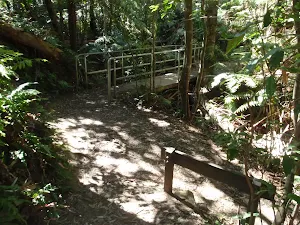 Den Fenela Creek Bridge
