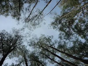 Don't forget to look up