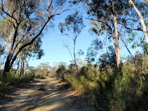 Top of the Simpsons track