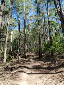 Glasson's Trail