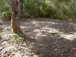 Deer Pool Campsite