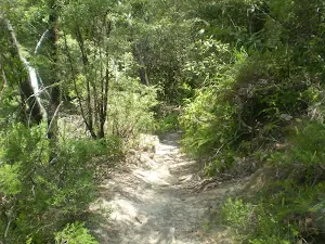 Round Walk track