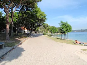 Path behind Shark Bay