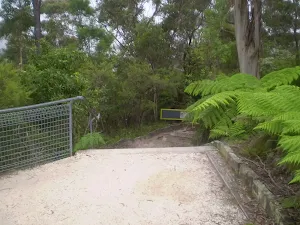 Track beside Conservation Hut