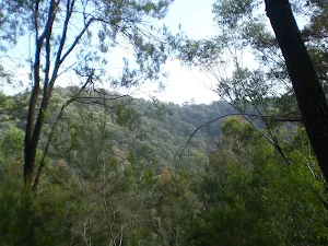 A first look at the Berowra Valley