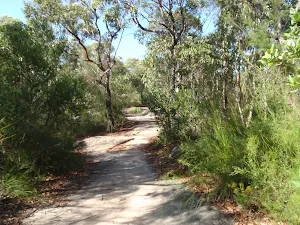 Bluff track