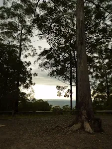 Muirs Lookout near Cooranbong
