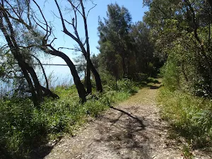 Walking along the edge of Tuggerah lake