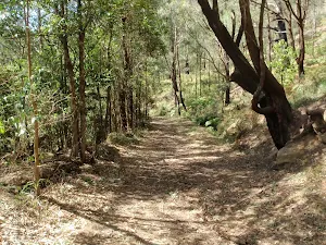 Rumbalara EEC access track