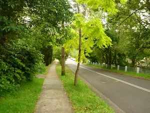 Walking alongside Eddy Rd