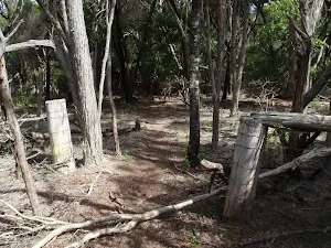 Old Farm fence north of Saltwater Creek