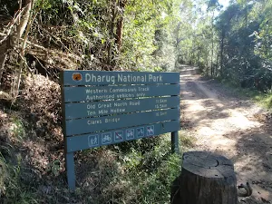 Welcome to Dharug National Park