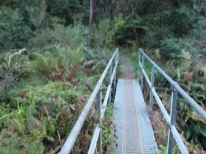 Bridge in front of waterfall