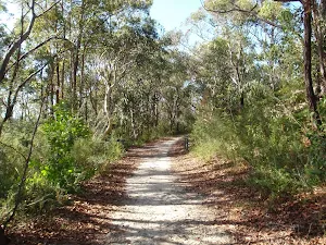 Currie Rd Service trail