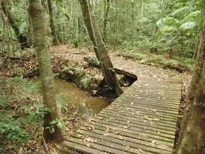 Toomeys Walk