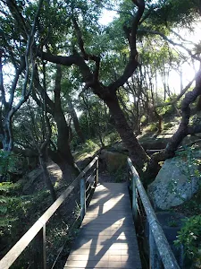 Manly Scenic Walk