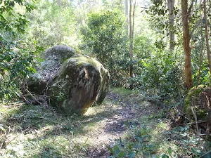Scattered boulders