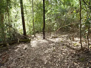 The end of Wild Boar Road