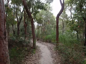 Track down to Grotto Point