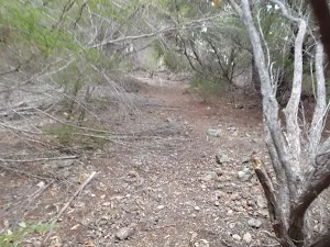 Track up to Field Study car park