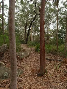 Along the ridge on Graves Walk