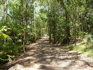 Trail near pond at Richley Reserve