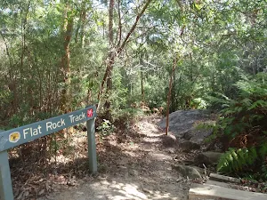 The Flat Rock Track