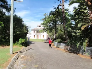 Looking down driveway to Strickland House