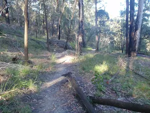 Track up to Hornsby