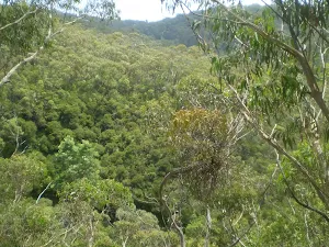 The view into the valley
