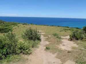 Whale Watching area at Wybung Head