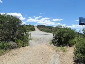 Looking up Wybung Head Rd from the management trail