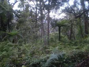 The view from the bottom of the Golden Staircase