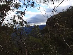 View from the track to Golf Links Lookout