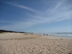 Caves Beach looking north