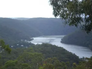 Looking Back on Berowra Waters