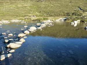 Snowy River